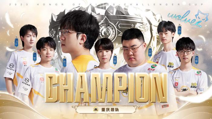 惊艳十佳球