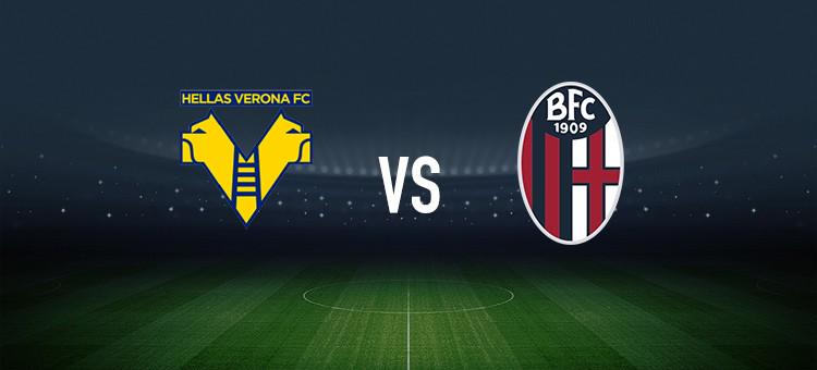 进一步巩固 进一步巩固